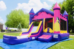 Open20House Fat20Frog20Party20Rentals43 1716990683 Princess Combo (Dry or Wet Options)